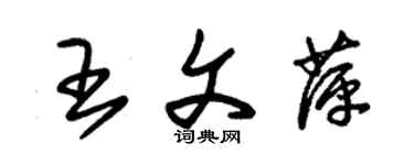 朱錫榮王文萍草書個性簽名怎么寫