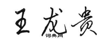 駱恆光王龍貴行書個性簽名怎么寫