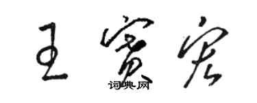 駱恆光王賽宏草書個性簽名怎么寫