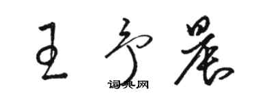 駱恆光王予晨草書個性簽名怎么寫