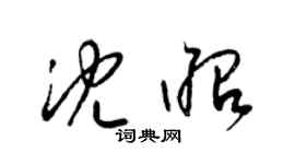 梁錦英沈昭草書個性簽名怎么寫