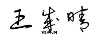 曾慶福王成晴草書個性簽名怎么寫