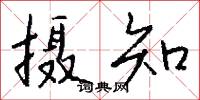 攝召的意思_攝召的解釋_國語詞典
