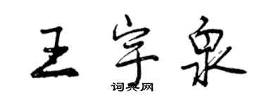 曾慶福王宇泉行書個性簽名怎么寫