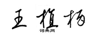 梁錦英王植柄草書個性簽名怎么寫