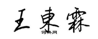 王正良王東霖行書個性簽名怎么寫