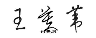 駱恆光王芙葦草書個性簽名怎么寫