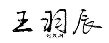 曾慶福王羽辰行書個性簽名怎么寫