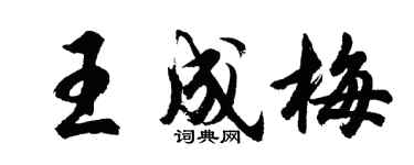 胡問遂王成梅行書個性簽名怎么寫