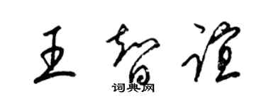 梁錦英王智誼草書個性簽名怎么寫