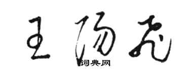 駱恆光王陽飛草書個性簽名怎么寫