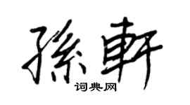 王正良孫軒行書個性簽名怎么寫