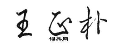 駱恆光王正朴行書個性簽名怎么寫