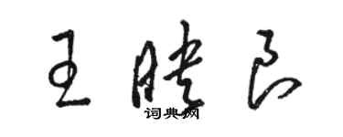 駱恆光王映良草書個性簽名怎么寫