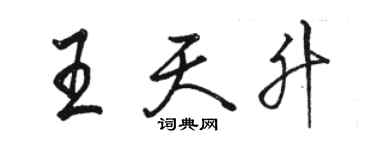 駱恆光王天升行書個性簽名怎么寫