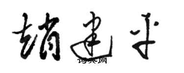 駱恆光趙建平草書個性簽名怎么寫