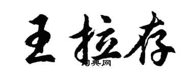 胡問遂王拉存行書個性簽名怎么寫