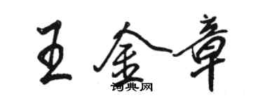 駱恆光王金章行書個性簽名怎么寫