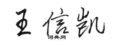 駱恆光王信凱行書個性簽名怎么寫