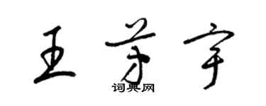梁錦英王芳宇草書個性簽名怎么寫