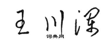 駱恆光王川瀾草書個性簽名怎么寫