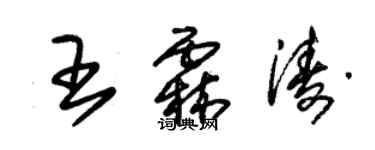 朱錫榮王霖濤草書個性簽名怎么寫