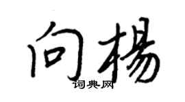 王正良向楊行書個性簽名怎么寫