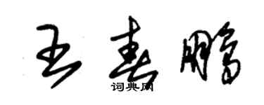朱錫榮王春鵬草書個性簽名怎么寫