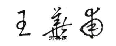 駱恆光王華甫草書個性簽名怎么寫