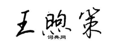 王正良王煦策行書個性簽名怎么寫