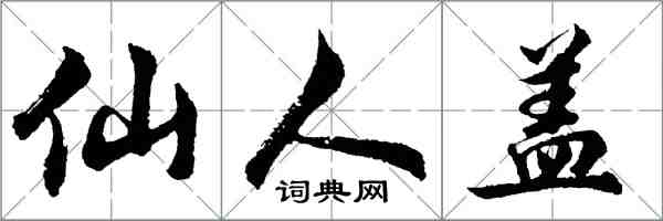 胡問遂仙人蓋行書怎么寫