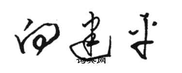 駱恆光向建平草書個性簽名怎么寫
