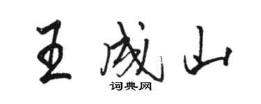 駱恆光王成山行書個性簽名怎么寫