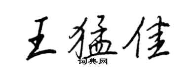 王正良王猛佳行書個性簽名怎么寫