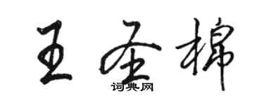 駱恆光王聖棉行書個性簽名怎么寫