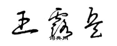 曾慶福王露兵草書個性簽名怎么寫