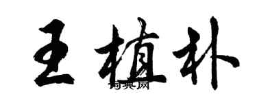 胡問遂王植朴行書個性簽名怎么寫