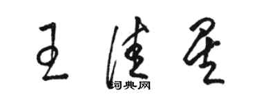 駱恆光王佳星草書個性簽名怎么寫