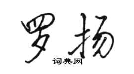 駱恆光羅揚行書個性簽名怎么寫