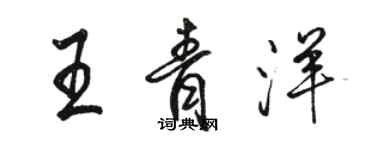 駱恆光王青洋行書個性簽名怎么寫