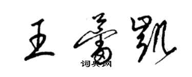 梁錦英王蕾凱草書個性簽名怎么寫