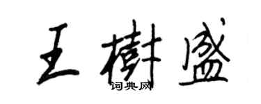 王正良王樹盛行書個性簽名怎么寫