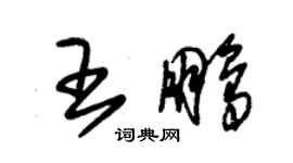 朱錫榮王鵬草書個性簽名怎么寫