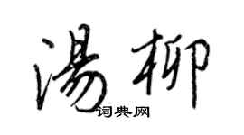 王正良湯柳行書個性簽名怎么寫