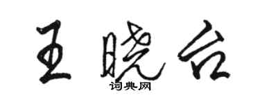 駱恆光王曉台行書個性簽名怎么寫