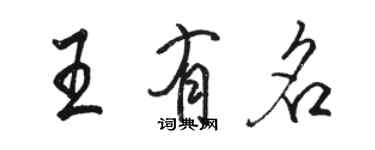 駱恆光王有名行書個性簽名怎么寫