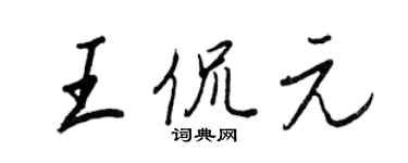 王正良王侃元行書個性簽名怎么寫