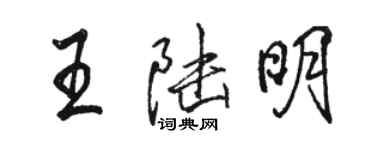 駱恆光王陸明行書個性簽名怎么寫