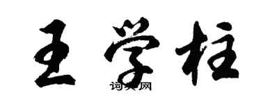胡問遂王學柱行書個性簽名怎么寫