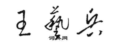 駱恆光王藝兵草書個性簽名怎么寫
